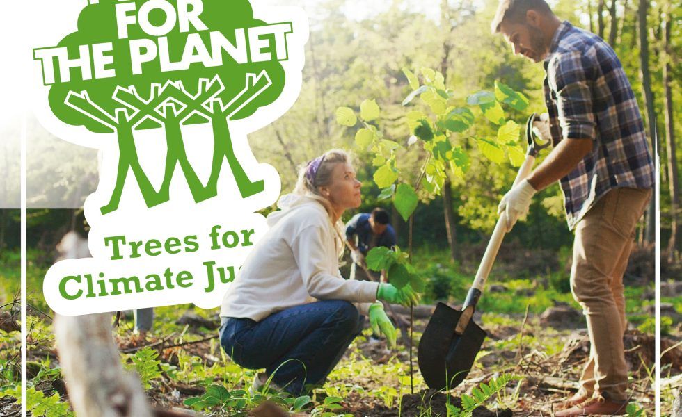 El compromiso de TOVER con la reforestación del planeta