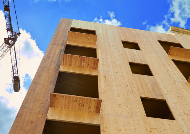 El próximo 17 de noviembre de 2025 se celebra la I Jornada “Construir con madera para proteger los bosques”