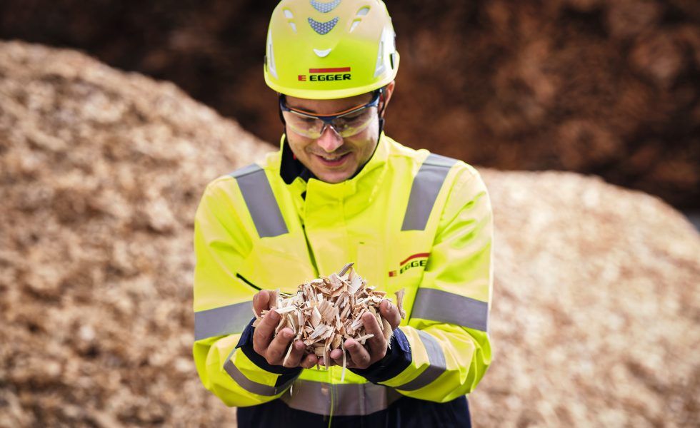 EGGER recibe de nuevo premios por su gestión en materia de sostenibilidad