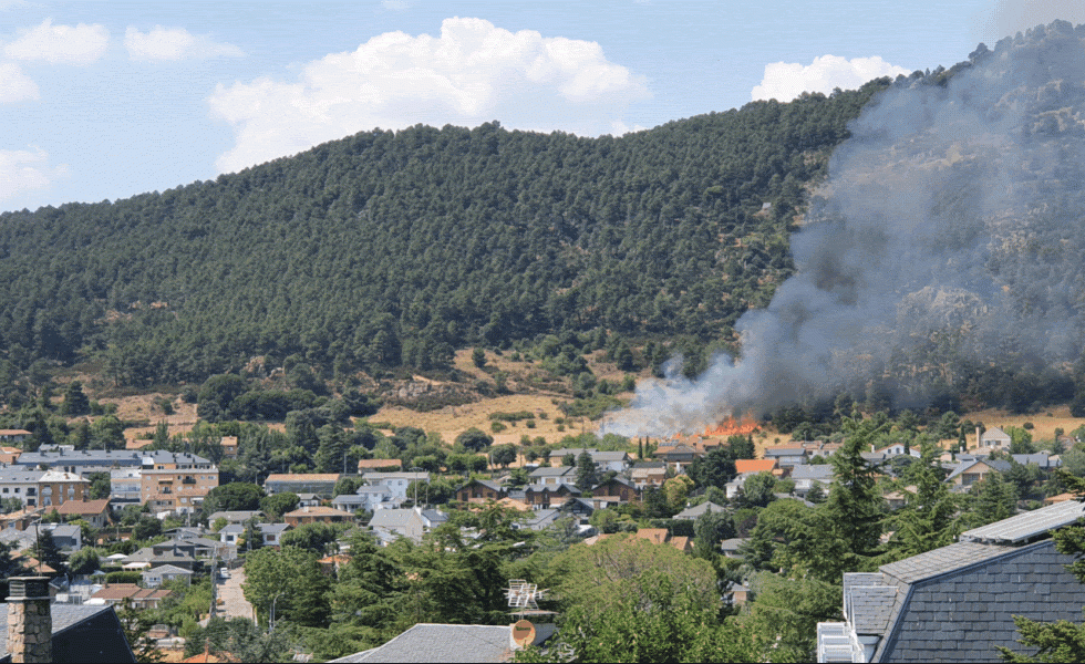 Después del fuego ¿qué? 