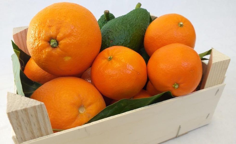 FEDEMCO encarga un estudio para analizar el mercado de envases de madera