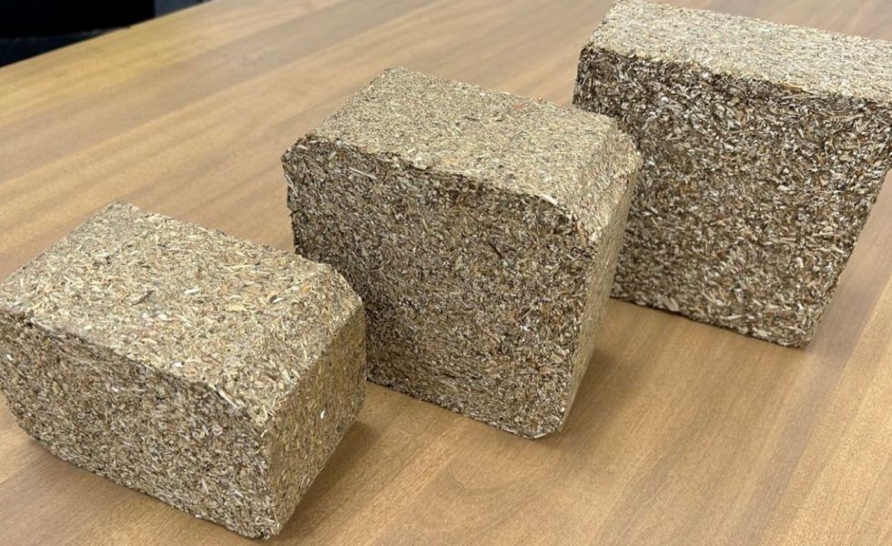 Tacos de aglomerado de primera calidad para la fabricación de palets