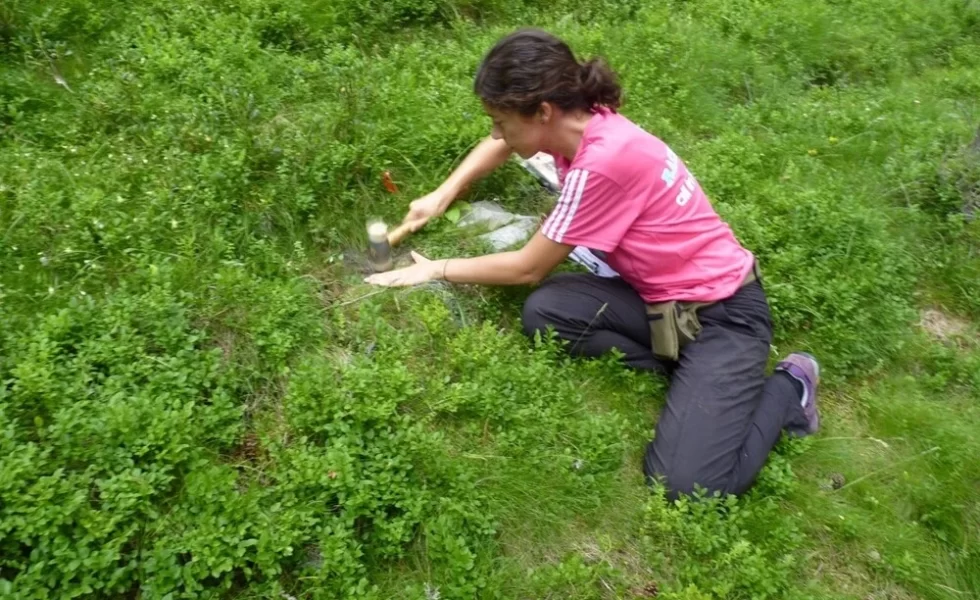 Un estudio de la UAH relaciona calentamiento global y termitas