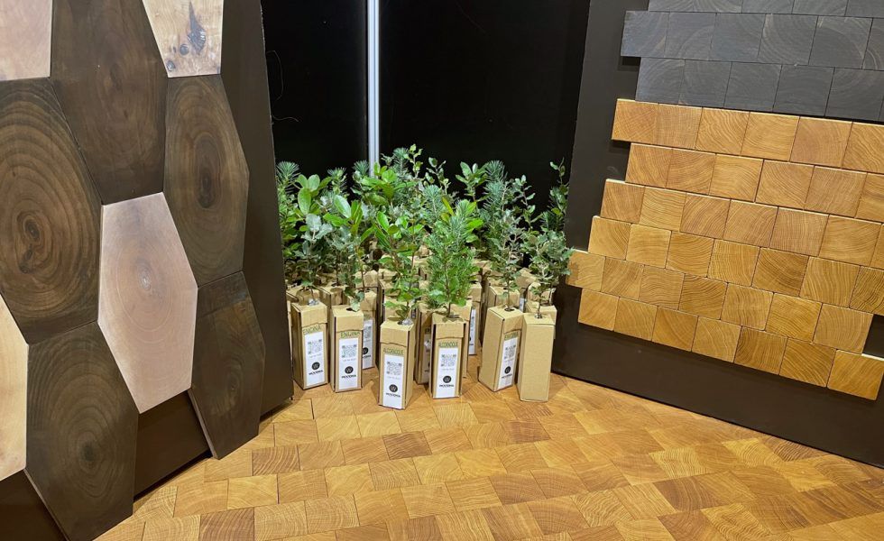 WOODNA, partner de Material Bank® Europe