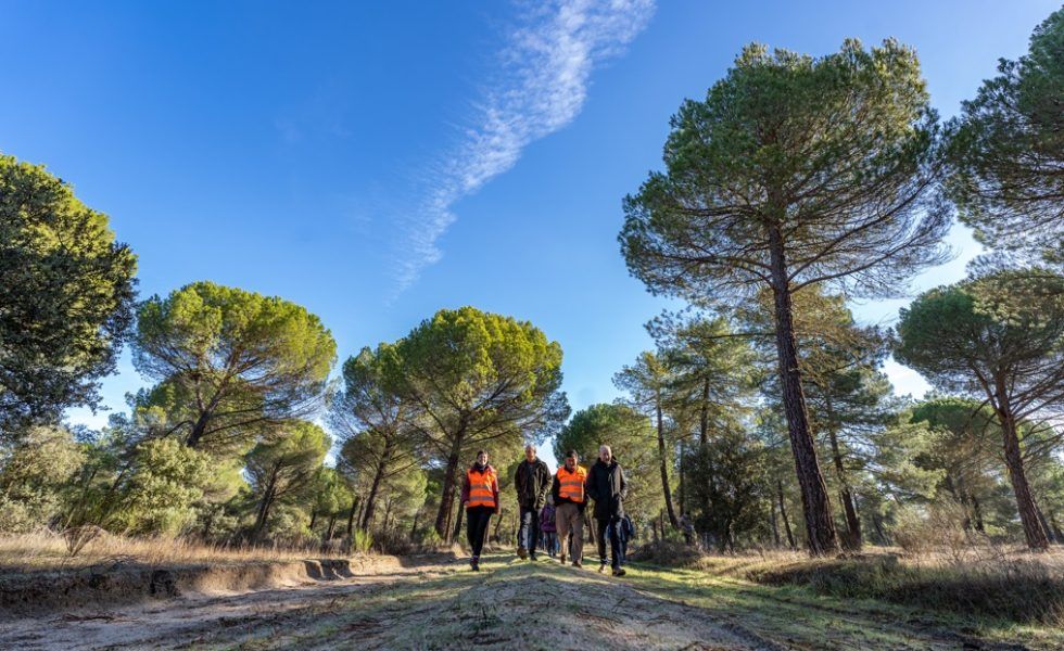 El monte público de Mohago recibe ayudas para regenerarse