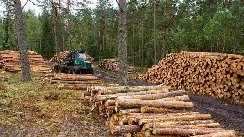 GO IMAI en “Para todos la 2” de TVE