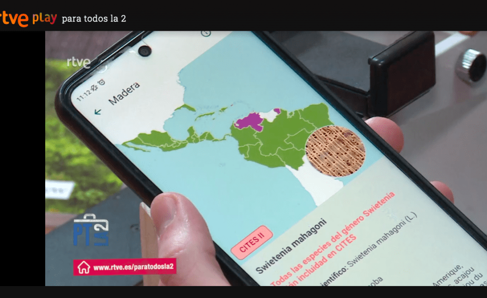 La 2 de TVE se hace eco del proyecto GO IMAI de identificación de maderas por dispositivo móvil