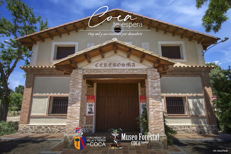 El Museo Nacional del Servicio Forestal muestra la importancia de los bosques para la sociedad