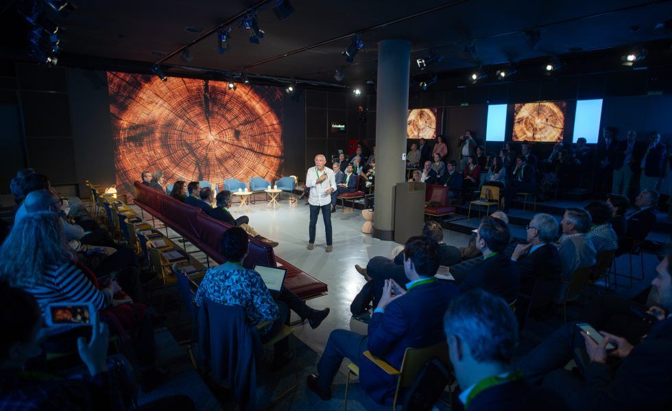 Los bosques españoles: Clave en la lucha contra el cambio climático y en la neutralidad climática empresarial