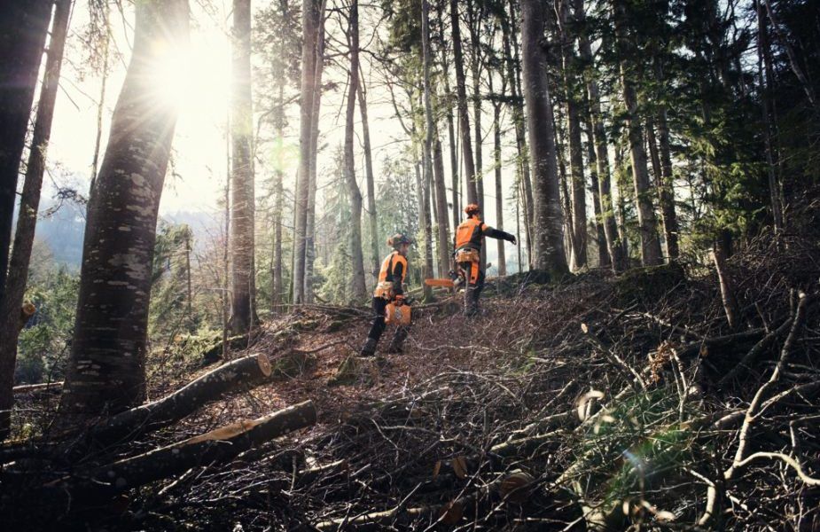 El arma más eficaz contra los incendios: la prevención en invierno