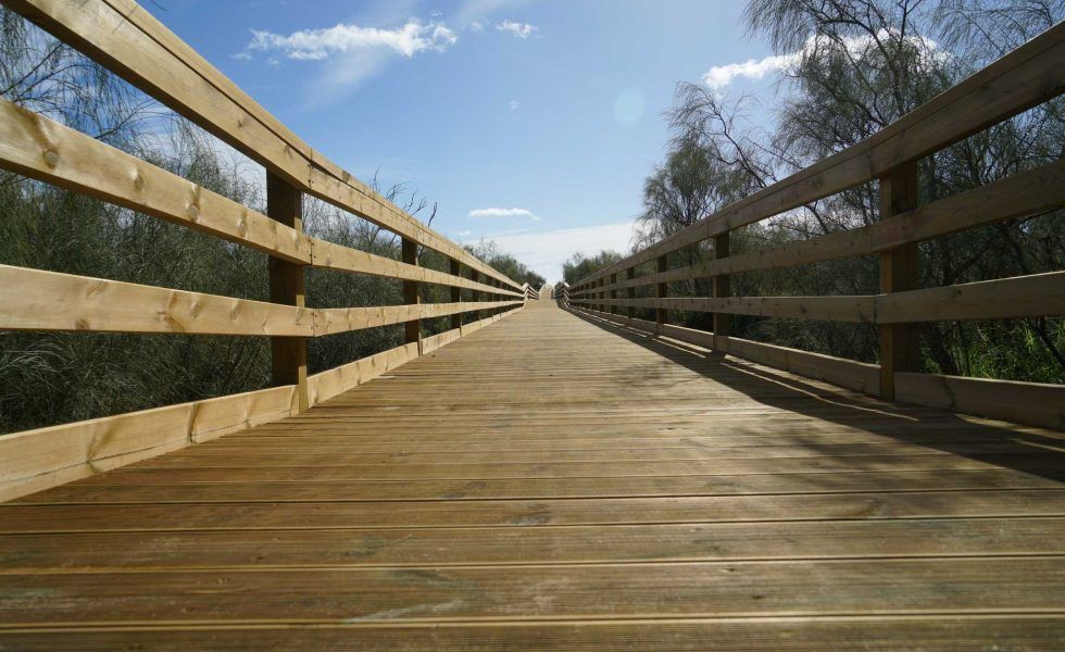 “La madera tiene tan buenas prestaciones, que nos hace ser cómodos”