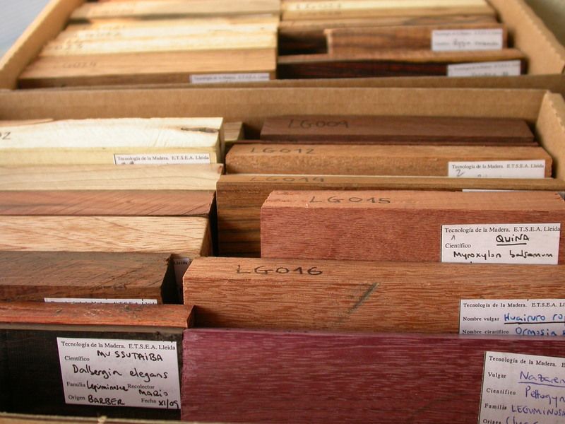 Descubre la xiloteca pública más importante del noreste peninsular