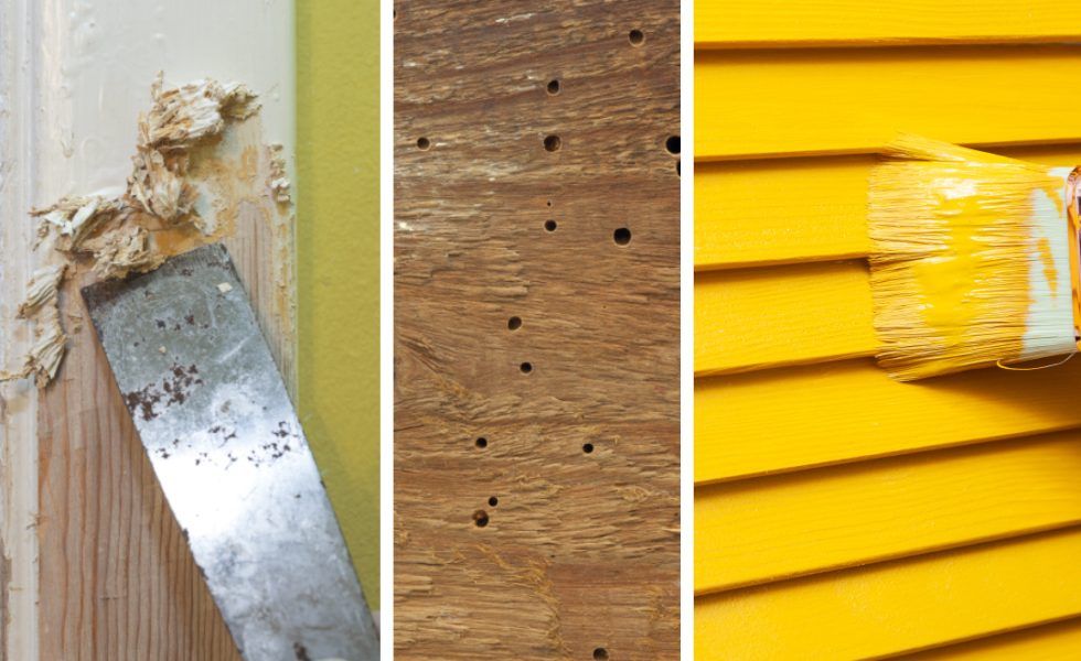 CEDRIA: Preparar, tratar y proteger la madera