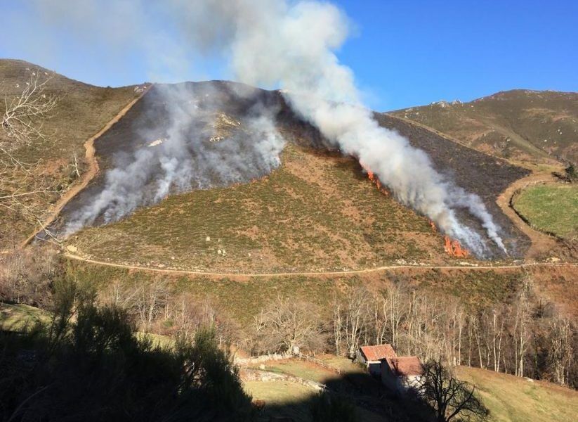 Prevenir y gestionar: la mejor vacuna contra los incendios forestales