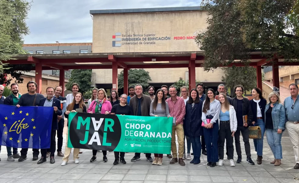 Diecinueve nuevos profesionales formados en cálculo de estructuras de madera