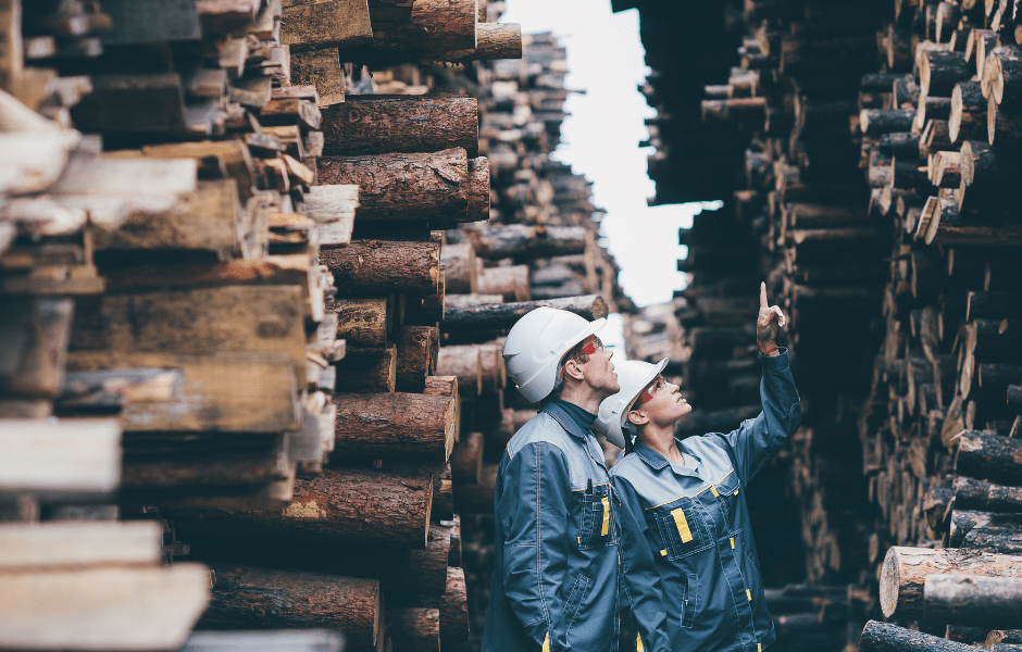 COPADE contribuye a la importación de madera sostenible desde América