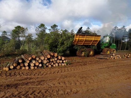 Ejemplos de éxito de aprovechamiento de la biomasa forestal en Andalucía