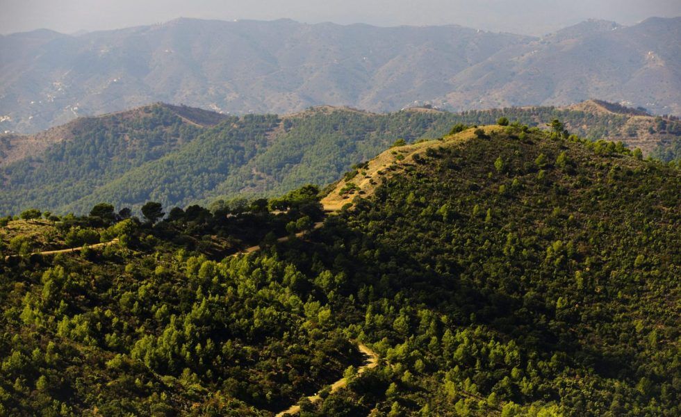 La calidad técnica pasa a ser el criterio principal en la contratación de servicios de ingeniería