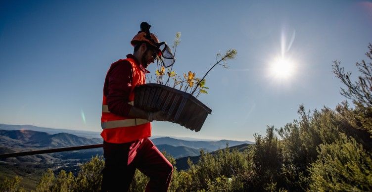 El Parlamento Europeo aprueba la Ley de Restauración de la Naturaleza