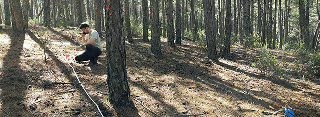 Explorando el impacto de la gestión forestal en la biodiversidad fúngica del suelo en bosques mediterráneos