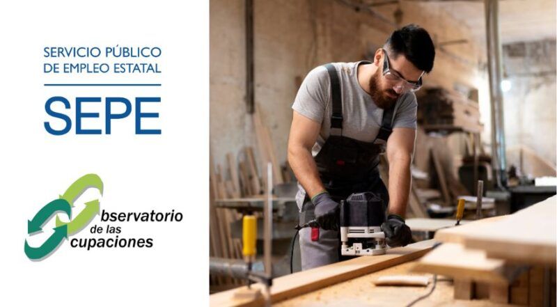 El SEPE da a conocer las necesidades formativas en las profesiones de la madera, mueble y corcho