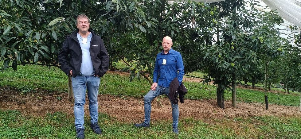 La MESA DEL CASTAÑO DEL BIERZO sella la creación del clúster europeo de la castaña
