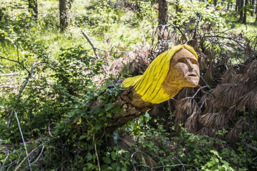 Un bosque animado repleto de esculturas en los tocones de los árboles