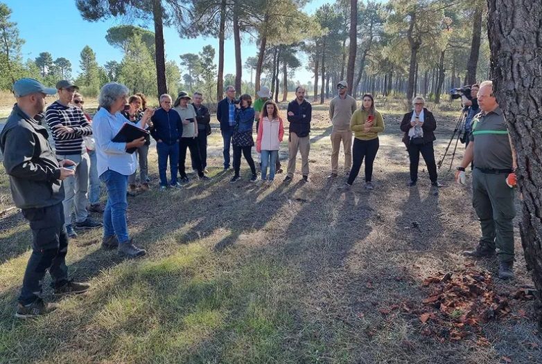 Uruguay y Paraguay conocen el sistema de Certificación PEFC para proteger los bosques nativos