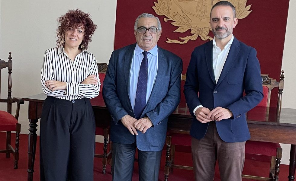 CETEM y Uruguay se alían para potenciar el sector maderero sostenible