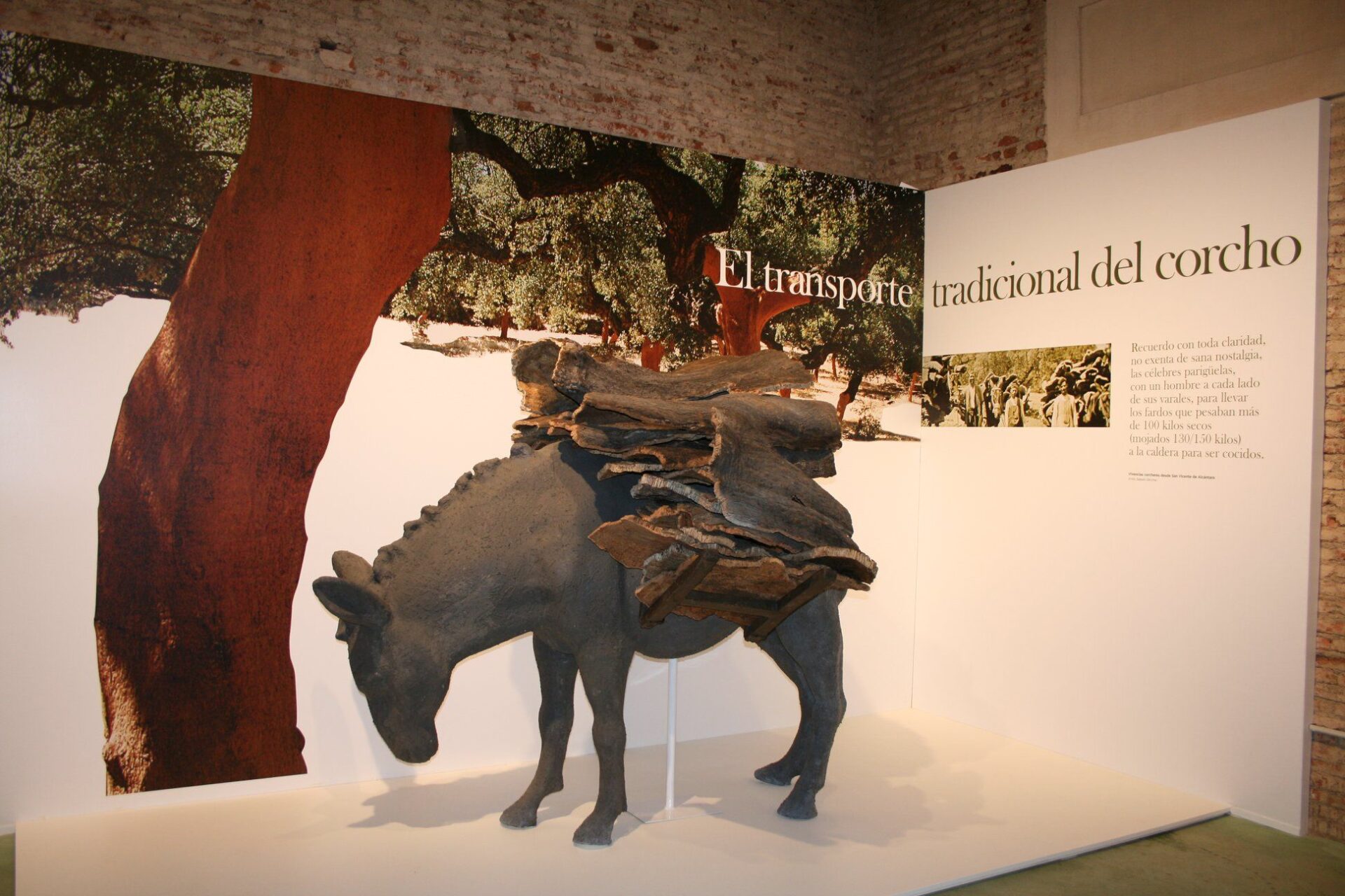 La importancia del corcho para San Vicente de Alcántara