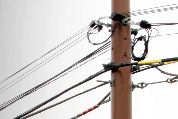 “Apostar por el poste de poliéster reforzado con fibra de vidrio (PRFV) contradice las políticas actuales medioambientales y de bioeconomía circular de la Unión Europea”