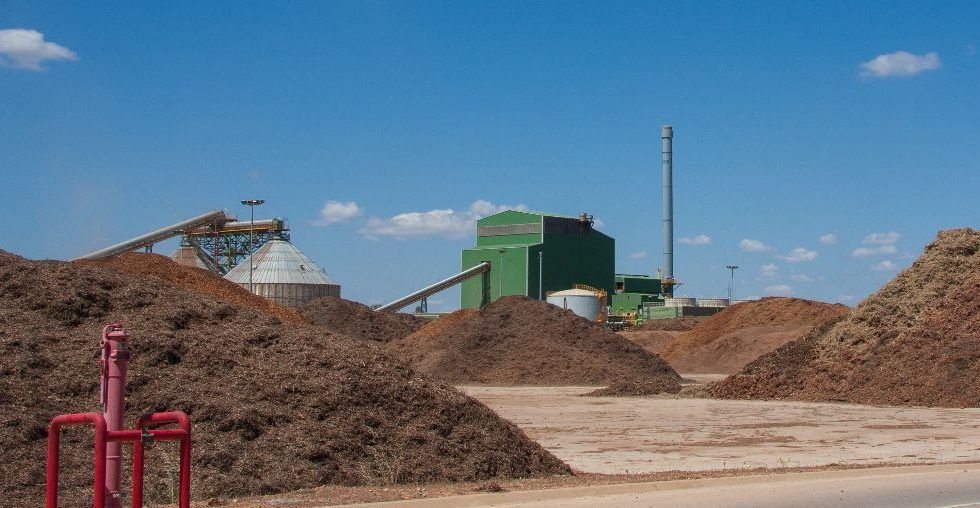 ENCE recibe el premio “Fomenta la Bioenergía 2023”