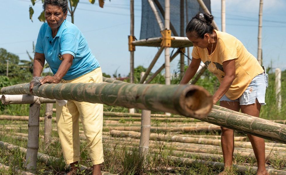 Las acciones de COPADE han beneficiado a más de 45 mil personas a lo largo del 2023