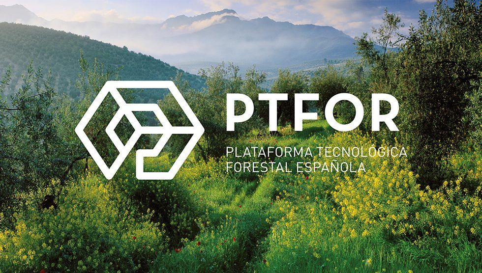 PTFOR, el impulso de una entidad para superar los retos del sector forestal