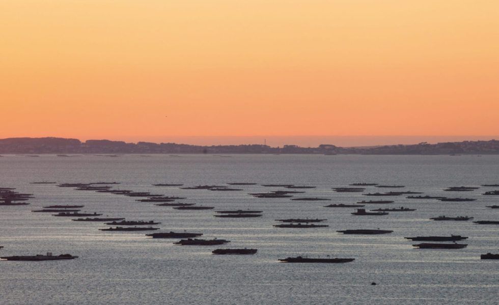 Dar una segunda vida a la madera de las bateas