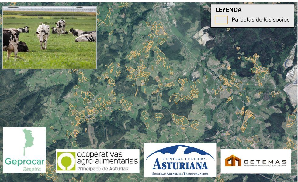 GO GEPROCAR: Desarrollo e implementación de herramientas basadas en sensores remotos para la gestión de la propiedad agroforestal