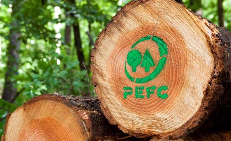 PEFC en 2025: liderazgo en certificación forestal, sostenibilidad y teledetección