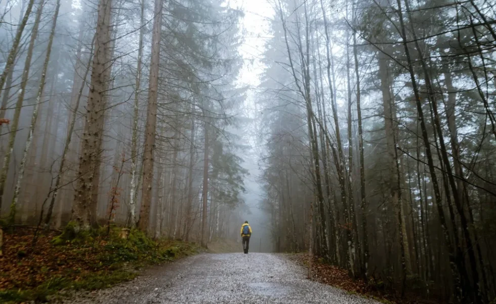La Ley de Montes de Socios llega al Senado