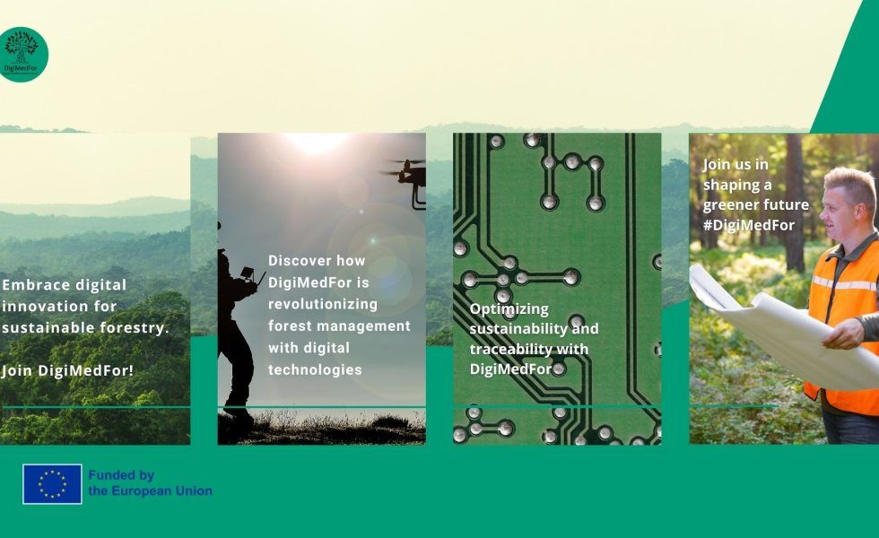DigiMedFor busca aliados para la sostenibilidad de los bosques y para una industria de la madera tecnológicamente avanzada