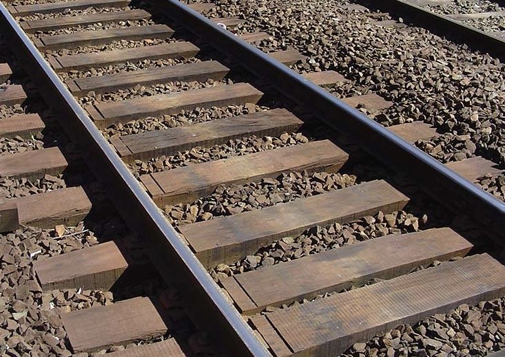 “La industria europea de la madera es, sin duda, parte de la solución para lograr una economía neutra en carbono”