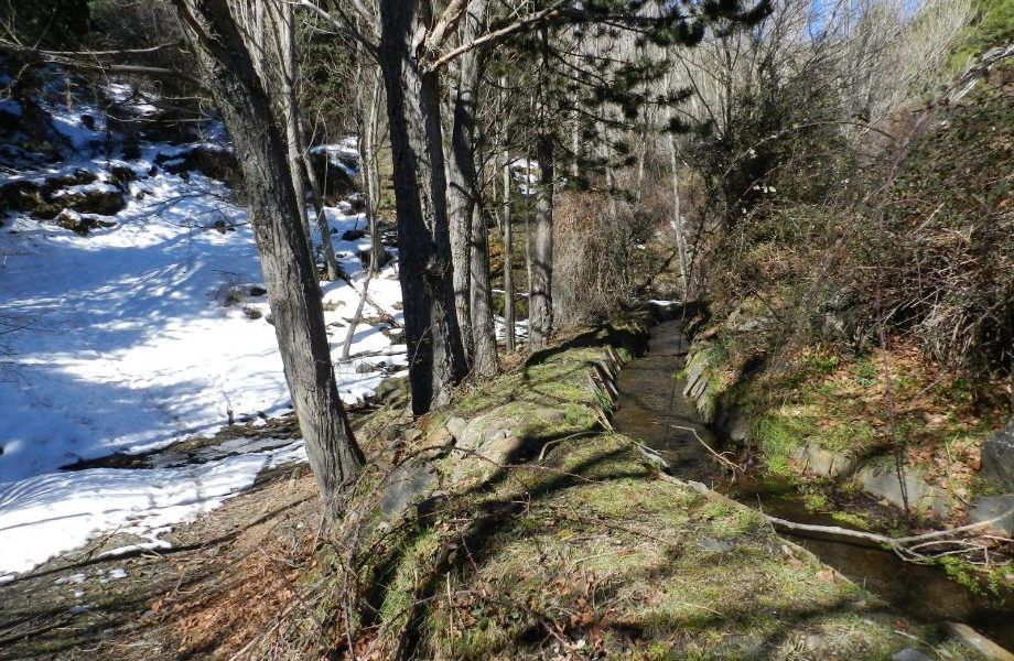 La FUNDACIÓN BIODIVERSIDAD financia un proyecto para fomentar el aprovechamiento forestal en Granada