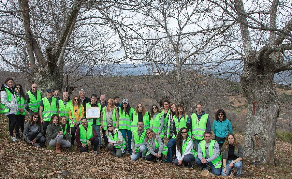 ALCAMPO colabora con PEFC en una reforestación en Las Médulas