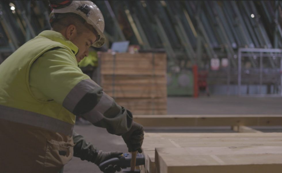 El CEN aprueba dos informes de CESEFOR sobre clasificación de madera de haya y pino silvestre para uso en construcción