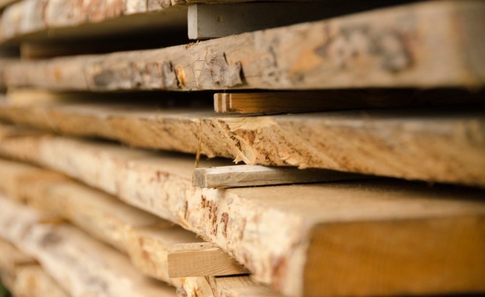 GRUPO GÁMIZ renovará su aserradero por completo