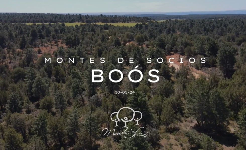 El pueblo de Boós recupera su monte de socios