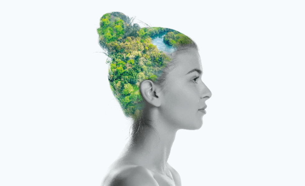 Gijón reúne a más de 1.000 expertos en el mayor congreso forestal de España