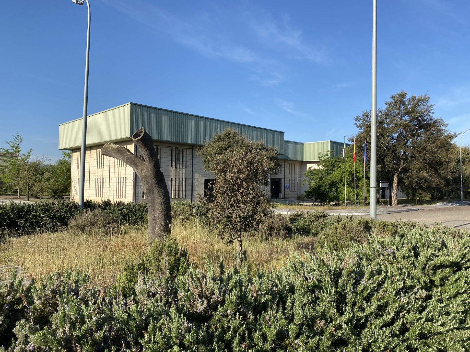 El Instituto del Corcho, la Madera y el Carbón Vegetal cumple 40 años