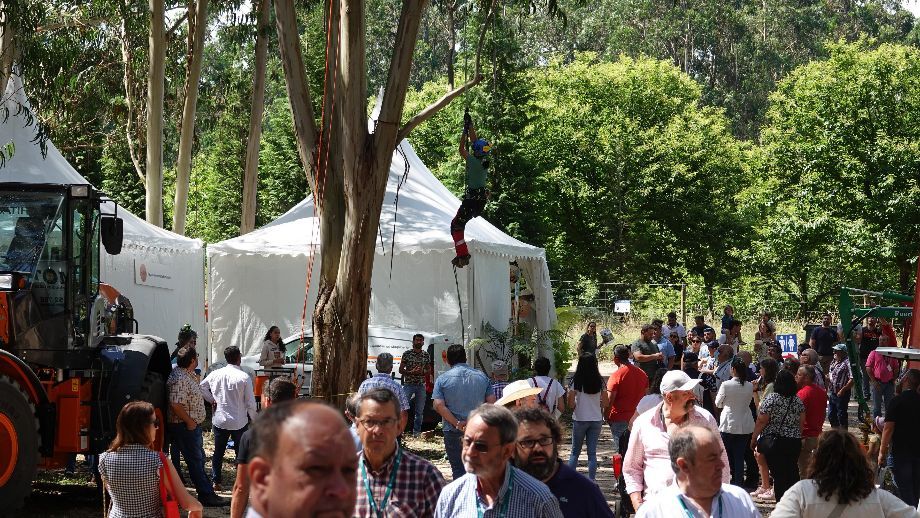 Se prevé un aluvión de profesionales del sector forestal en GALIFOREST Abanca 2024