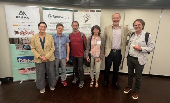 Se presenta IMFOREST, un proyecto para impulsar la bioeconomía forestal