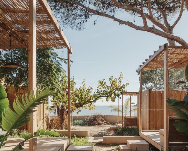 La metamorfosis arquitectónica de ALFACS